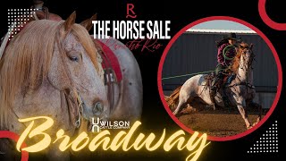 quotBroadwayquot  Wilson Cattle Co x Rancho Rio Horse Sale 2025 [upl. by Nivi]