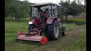 Extrem mulchen mit Case IHC 633  Obstbaum Grundstück HD [upl. by Adlen]