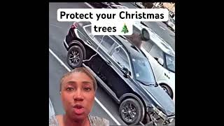 Protect your Christmas trees ytshorts [upl. by Janeva]