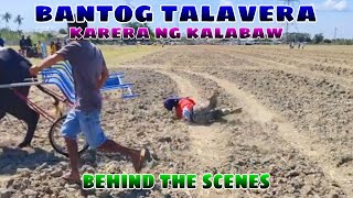 bantog talavera karera ng kalabaw behind the scenes [upl. by Gnap]