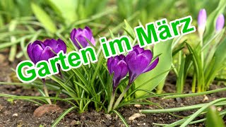 Gartentipps amp Gartenarbeit im Monat März – Der Garten im März Quicktipp [upl. by Lemon]