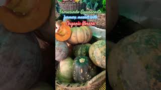 Tamarindo Guanacaste farmers market with Organic Nosara puravida travel organicfood c [upl. by Dolhenty]