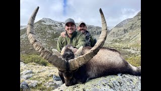 Spain 2024 Gredos Ibex amp Mouflon Sheep  A huntin story [upl. by Dry]