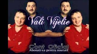 COSTI IONITA amp VALI VIJELIE amp ADRIAN MINUNE  PLECAT DEPARTE OFFICIAL TRACK [upl. by Aihsotal]