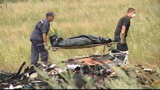 Malaysian Airlines Flight 17 Shot Down Drama at Ukraine Plane Crash Site [upl. by Tenn]