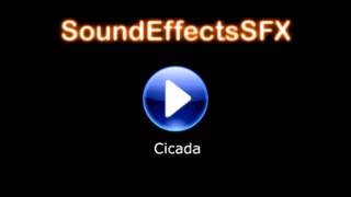 Cicada Sound effect [upl. by Fadden847]