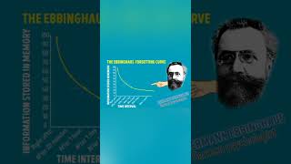 THE EBBINGHAUS FORGETTING CURVE ytshorts forgetting improvememorypower improvememory [upl. by Asiole]