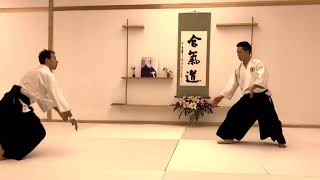 Aikido Free throws Training  Sensei Aloyseus Lee [upl. by Ahsemad]