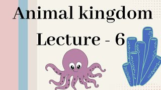 Ctenophora  Animal kingdom Lecture  6 [upl. by Merrie921]