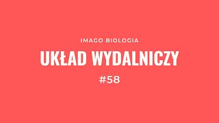 Układ wydalniczy [upl. by Belmonte]