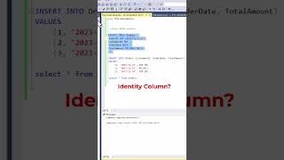 SQL Identity Column Example datascience programming coding [upl. by Sirromal468]