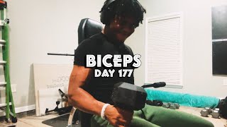 Day 177 Biceps [upl. by Bohannon664]