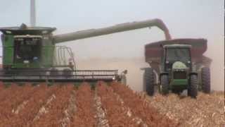 2012 South Texas Grain Sorghum Harvest [upl. by Quitt]