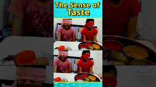 The Sense of Taste  Tongue taste Senses For Kids [upl. by Crowell]