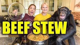 Chimpanzee Makes Vegetarian Beef Stew  Myrtle Beach Safari [upl. by Trovillion]