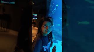 Aquaria phuket 😊aquaria phuket marinelife thailand oceanslife music shortsfeed [upl. by Parris]