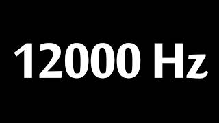 12000 Hz Test Tone 10 Hours [upl. by Eidur]