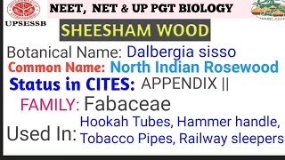 SHEESHAM WOOD  Dalbergia sisso L [upl. by Nidla]