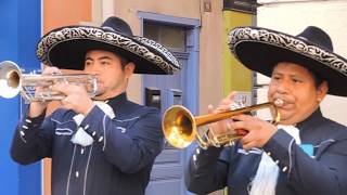 Barcelonnette  Fêtes Latino Mexicaines 2019 [upl. by Maram]