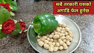 सबै तरकारी यसको अगाडि फेल हुनेछ l soyabean KO tarkari banaune sajhilo tarika l soyachunks recipe [upl. by Nrehtac950]