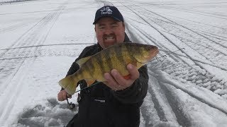 Lake Cascade Ice Perch [upl. by Delora]