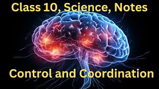 Control and Coordination  Class 10  Science  Biology  Best Notes [upl. by Rehpotsrhc]