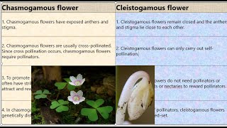 Chasmogamous vs Cleistogamous Flowers [upl. by Yllim686]