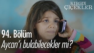 Aycanı bulabilecekler mi  Kırgın Çiçekler 94 Bölüm [upl. by Bobker240]