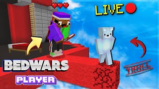 Trolling Player in Bedwars🤣😆 3v3  New Texture Pack😎  Wallibear minecraft bedwars wallibear [upl. by Qulllon]