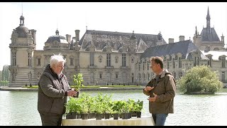 PLANTES AROMATIQUES  10 MENTHES amp DES SURPRISES PRÉSENTÉES PAR LEUR PRODUCTEUR Saga Chantilly N°4 [upl. by Lirbij322]