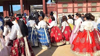 경복궁 마지막 단풍 보러 외국인들 대거 몰려와 한복 물결 장사진 Gyeongbokgung Palace Autumn Leaves Seoul [upl. by Etteval]