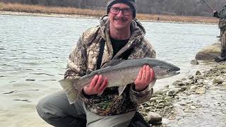 Centerpin Fishing Saugeen River For Steelhead 2024 [upl. by Ariaz754]