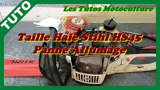 Taille haie Stihl HS45  Panne allumage  diag  12 [upl. by Aridni]