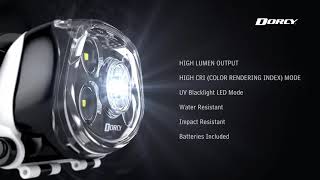 PRO HEADLAMP HI CRI  UV BLACKLIGHT 414320 [upl. by Llemij283]