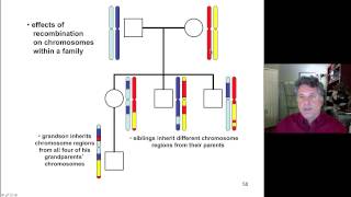 Cinelecture 76  Recombination Mapping Intro to Human Genetics [upl. by Wier]