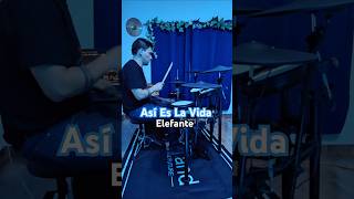 Así Es La Vida  Elefante drums elefante asíeslavida bateristasdemexico viralvideo [upl. by Bone]