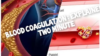 Blood clotting  Explained Two minute [upl. by Nuahs764]