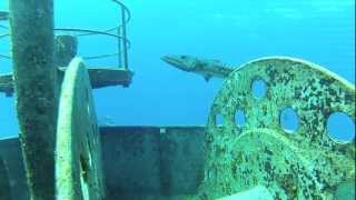 Free diving Grand Cayman Ex USS kittiwake [upl. by Arba]