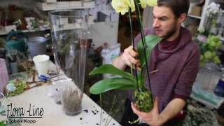 DIY Blickfang für das Wohnzimmer  Orchidee in Glasvase pflanzen [upl. by Newell]