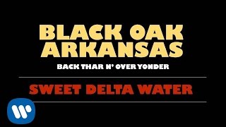 Black Oak Arkansas  Sweet Delta Water Official Audio [upl. by Hadeehsar411]