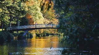 Autumn in Christchurch 4K [upl. by Heimer]