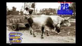 Historia del Jaripeo Charreria Rodeo americano y de Rcho La Herradura [upl. by Oberstone]