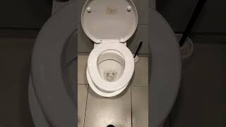 Ikea HORRIBLE toilet Wembley [upl. by Octavus129]