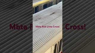 Mbta Red Lines Cross Fast mbta railway railroad amazing train crossing redlines [upl. by Acnoib]