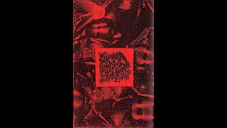 BLOOD SUCKERS  Tracks from SAAEI Split tape 1999 Grindcore [upl. by Ylenats150]