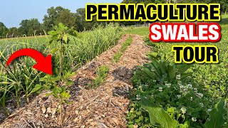 A TOUR OF OUR 3 PERENNIAL PERMACULTURE SWALES [upl. by Simara]