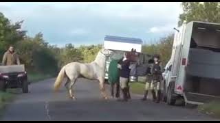 Cottesmore Hunt member hitting and kicking a horse [upl. by Isia]