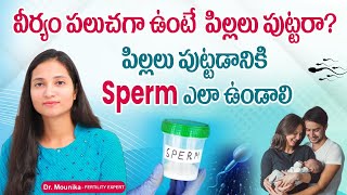 How to Collect Sample for Semen  Semen Analysis Test Procedure in Telugu Sperm Test Guide [upl. by Fenton]