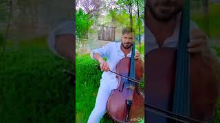 Now we are free hauser hausercello cello [upl. by Petrine179]