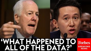 MUST WATCH TikTok CEO Grilled By John Cornyn About US Citizens Data [upl. by Eytak923]